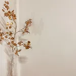 Casa Melpi *